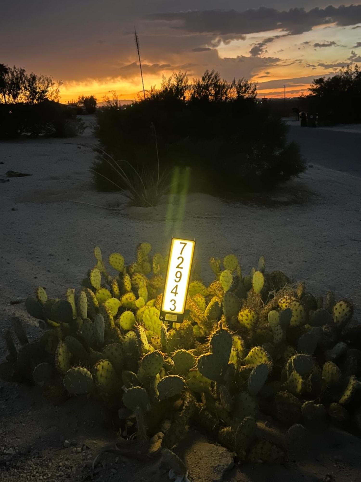 A Pousada Bodhi House, Joshua Tree National Park Twentynine Palms Exterior foto